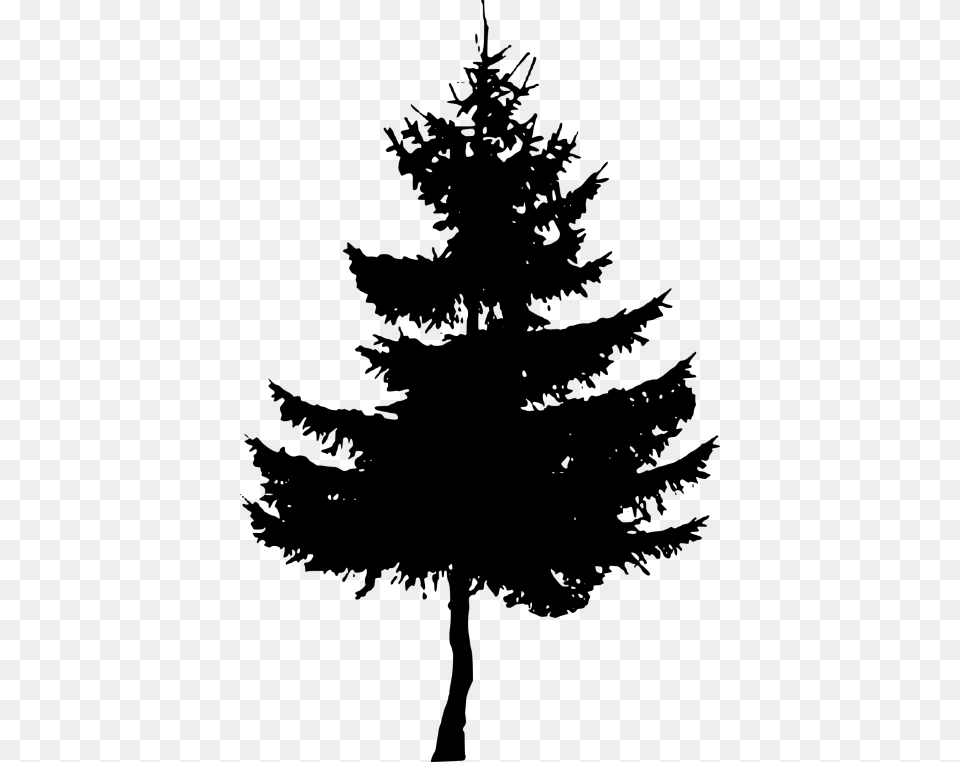 Pine Tree Silhouette Free, Fir, Plant, Conifer, Chandelier Png