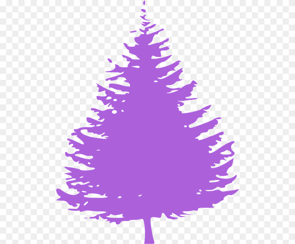Pine Tree Silhouette Pine Tree Silhouette, Fir, Plant, Person, Face Free Transparent Png