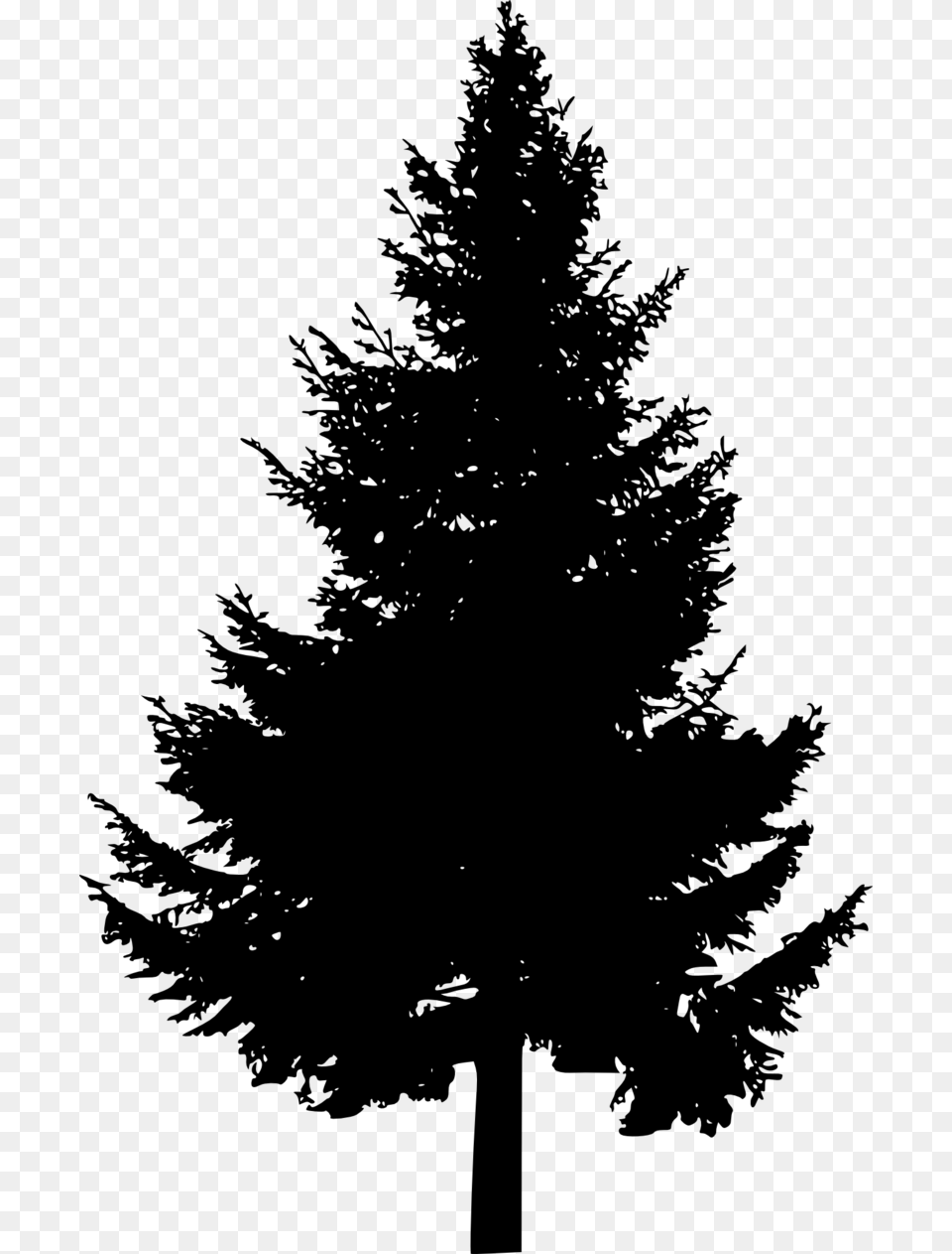 Pine Tree Silhouette Pine Tree Vector, Gray Free Transparent Png