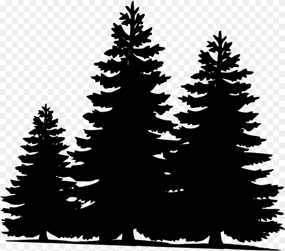 Pine Tree Silhouette Transparent Background, Gray Png Image