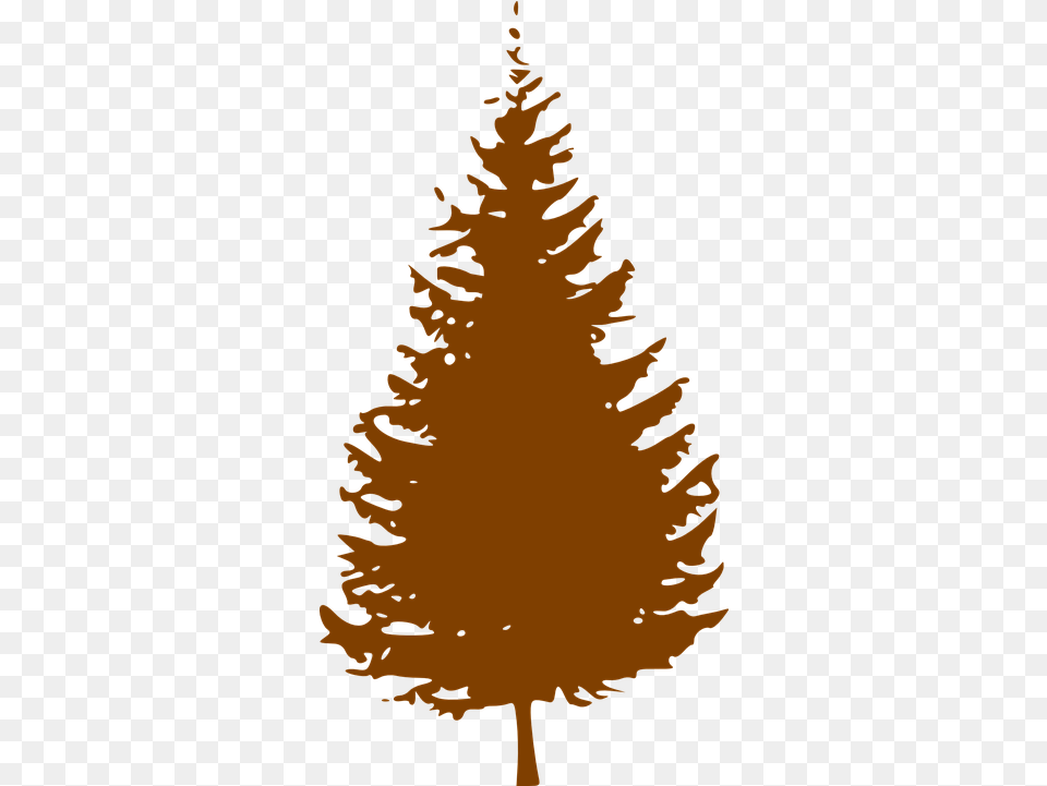 Pine Tree Silhouette Transparent Silhouette Christmas Tree Clipart, Conifer, Plant, Fir, Person Free Png