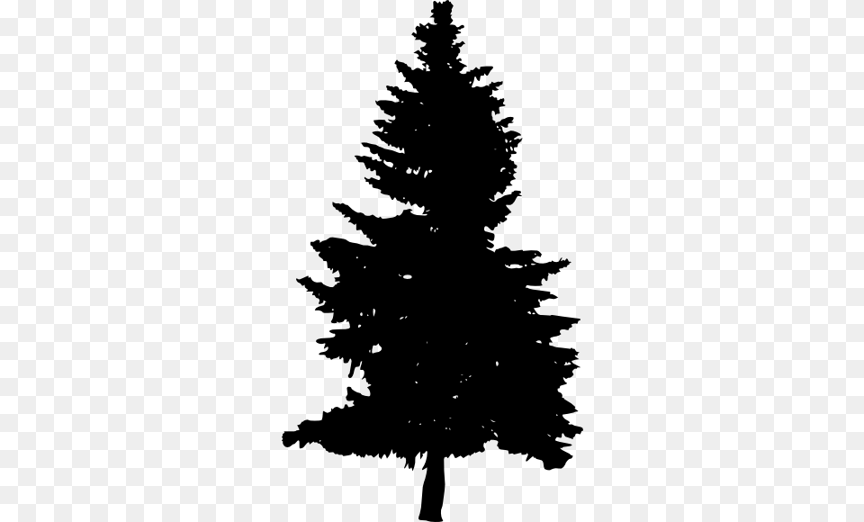 Pine Tree Silhouette Vol 2 Onlygfxcom Pine Tree Silhouette Background, Plant, Fir, Person, Stencil Free Transparent Png