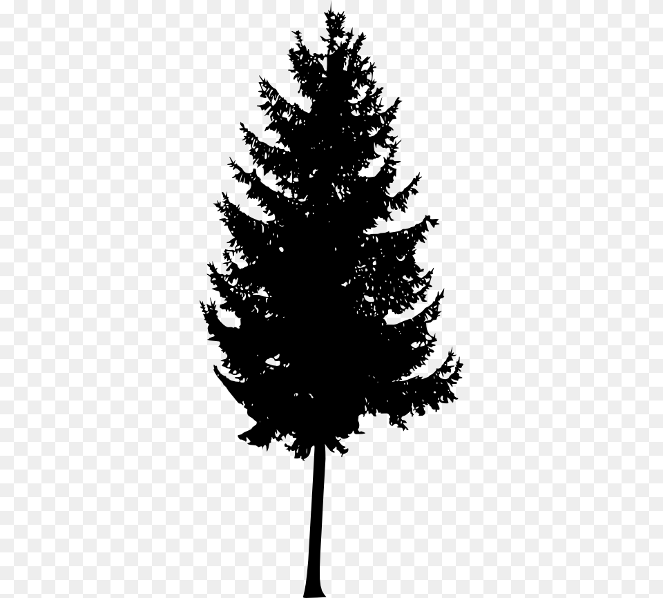 Pine Tree Silhouette Vol Mountain Ash Tree Silhouette, Fir, Plant, Conifer, Person Free Png