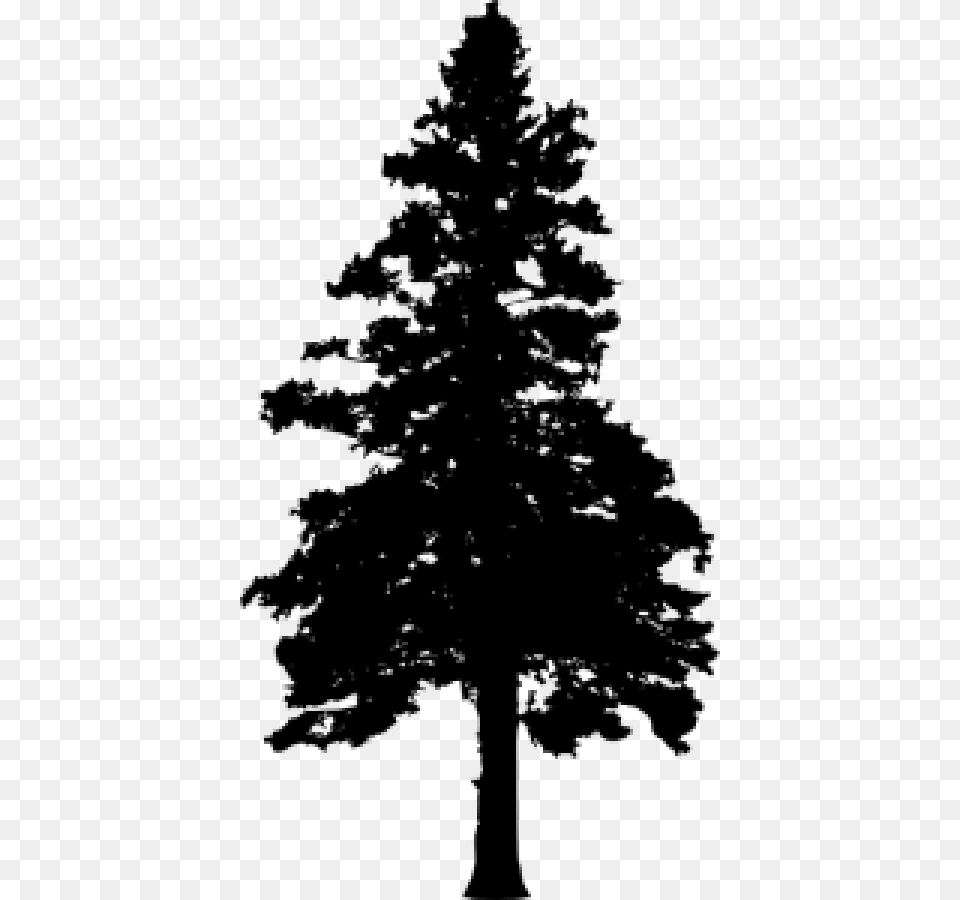 Pine Tree Silhouette Vol Silhouette Pine Tree With No Background, Fir, Plant, Person Free Png