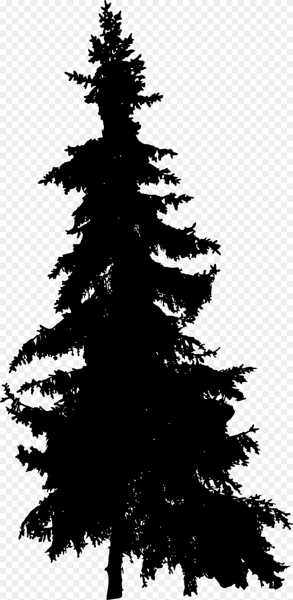 Pine Tree Silhouettetitle Pine Tree Silhouette Silhouette Pine Tree, Fir, Plant, Conifer, Person Png Image
