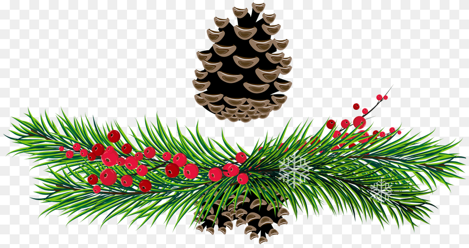 Pine Tree Snow Borders Clipart Clip Art Images, Conifer, Plant, Fir, Larch Png Image