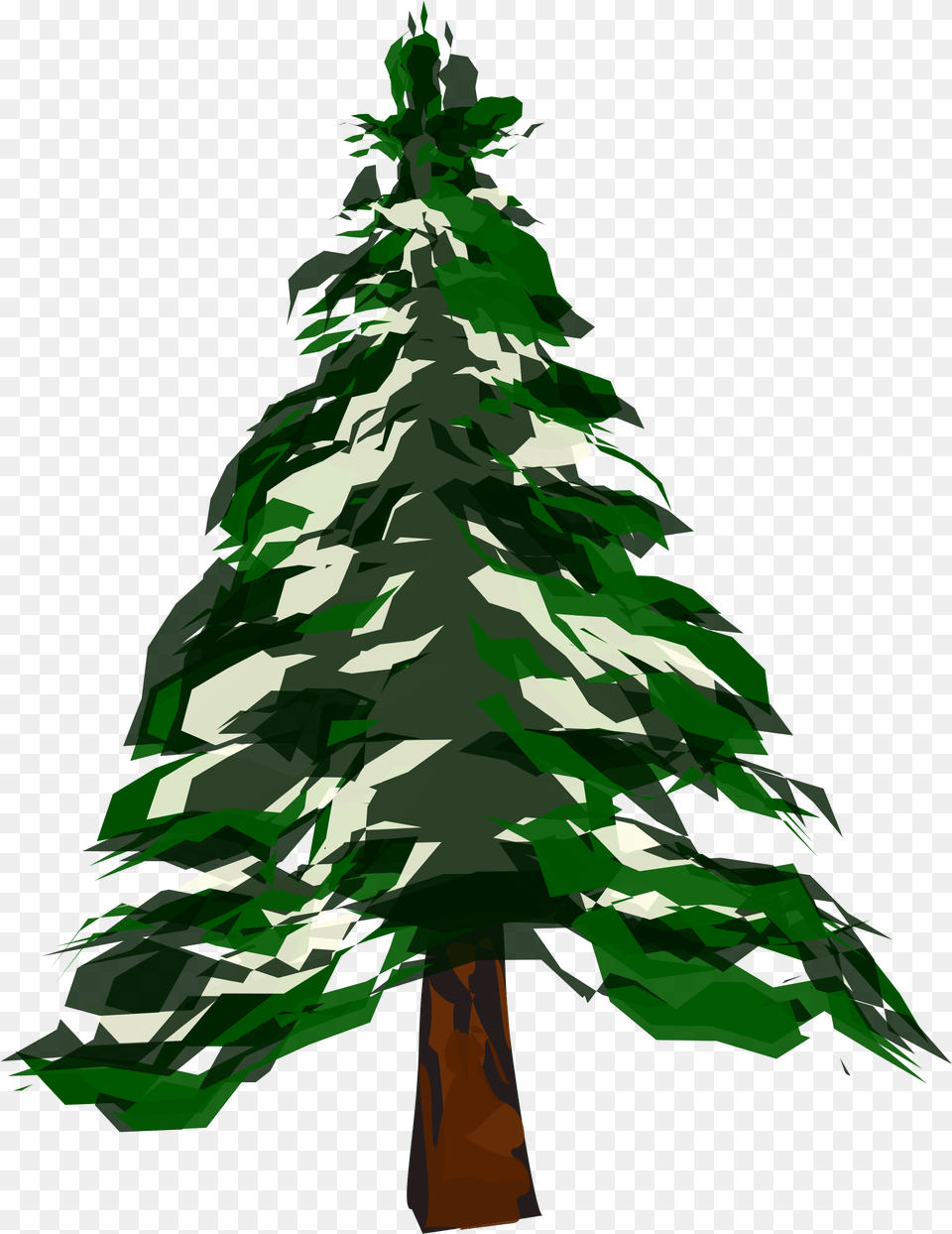 Pine Tree Snow Picture Deciduous Vs Coniferous Trees, Green, Plant, Christmas, Christmas Decorations Free Png