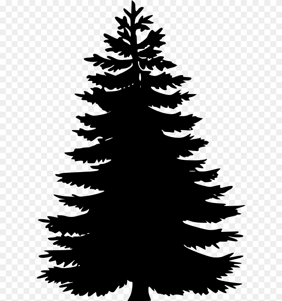 Pine Tree Vector, Gray Png