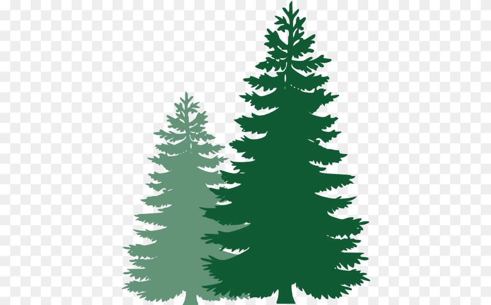 Pine Tree Vector Clipart Christmas Tree Clipart Pine Tree Silhouette, Fir, Plant, Conifer, Face Png Image