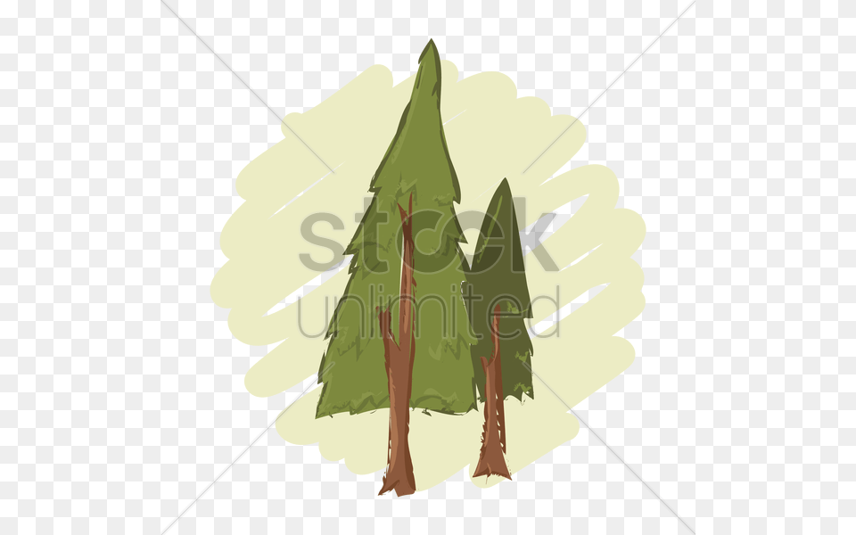 Pine Tree Vector Image, Leaf, Plant, Dynamite, Weapon Free Png Download