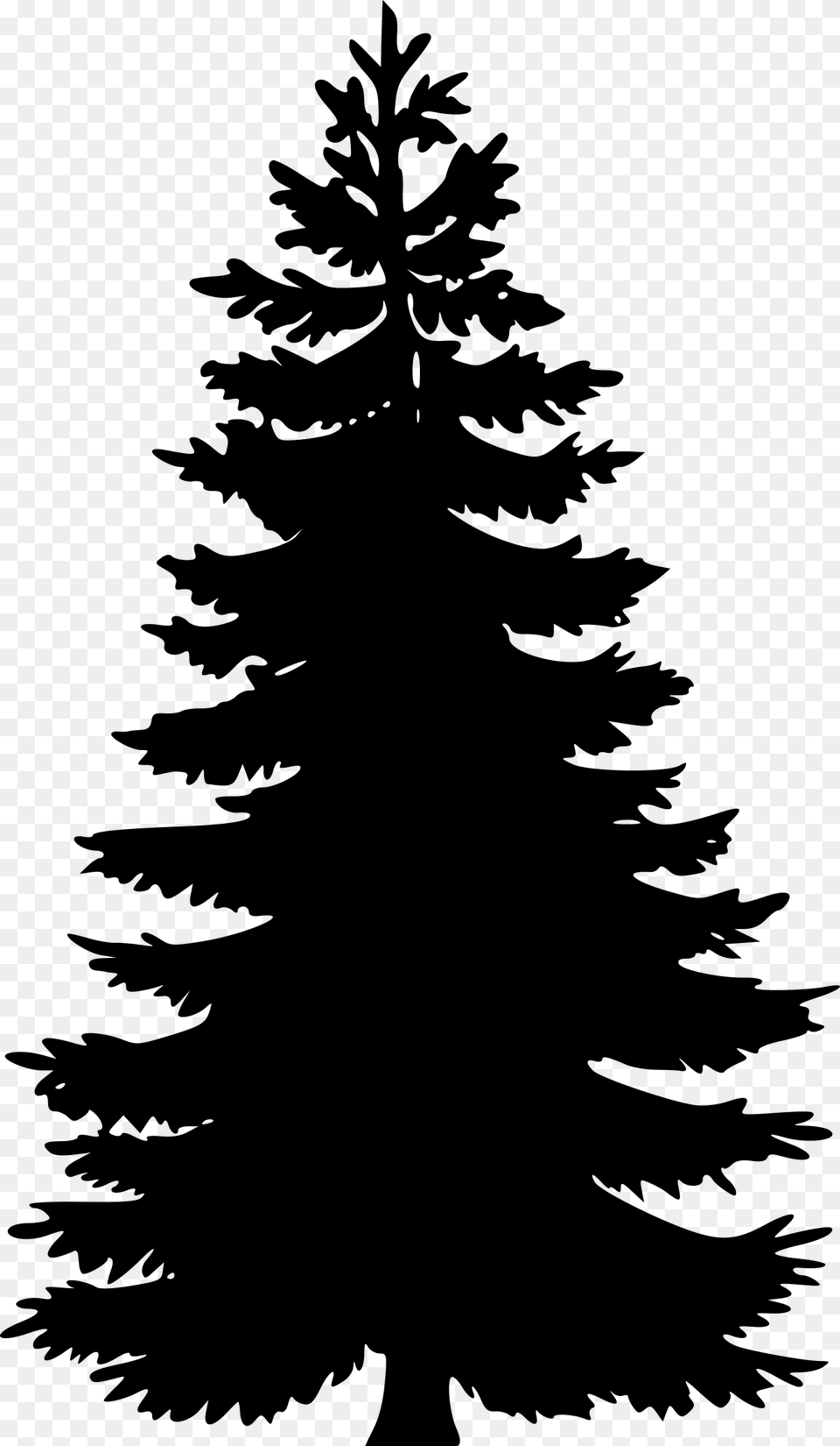 Pine Tree Vector Pine Tree Vector, Gray Png