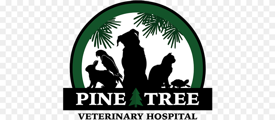 Pine Tree Veterinary Hospital Pllc Better Business Bureau Silhouette, Adult, Person, Logo, Female Free Png Download