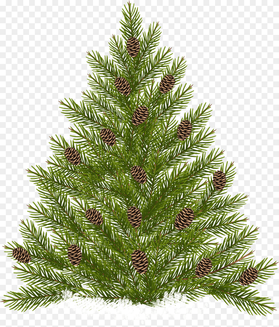 Pine Tree With Cones Transparent Clip Art Free Png