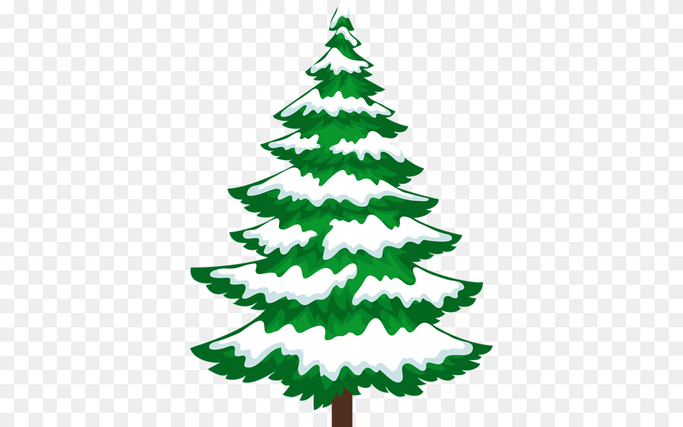 Pine Tree With Snow Transparent Clip, Plant, Fir, Christmas, Christmas Decorations Free Png