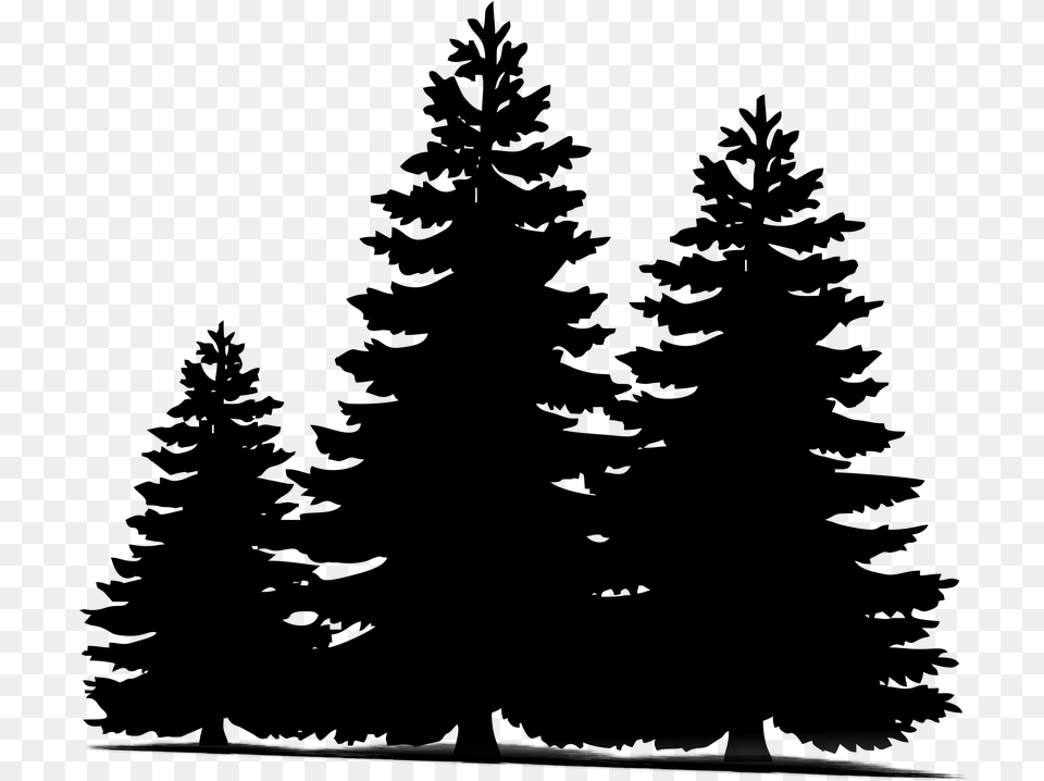 Pine Trees Christmas Sillueta Winter Transparent Pine Tree Silhouette, Lighting, Gray, Electronics, Screen Png