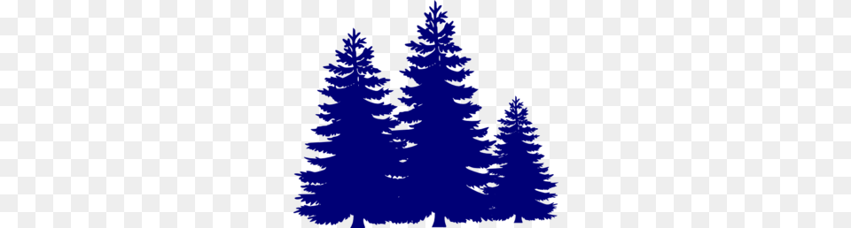 Pine Trees Clip Art, Conifer, Fir, Plant, Tree Png