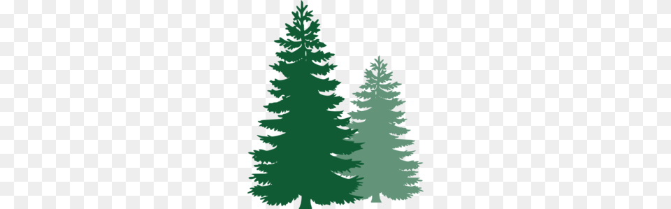 Pine Trees Clip Art, Fir, Plant, Tree, Conifer Free Png