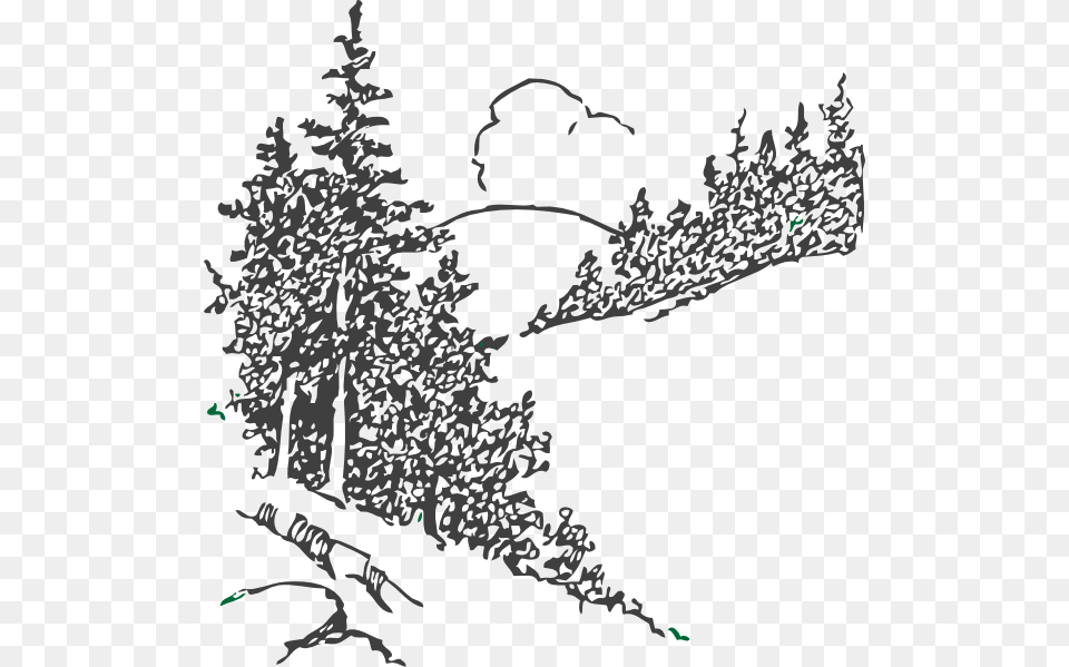Pine Trees Clip Art At Pine Tree Sketch, Doodle, Drawing, Plant, Fir Free Png Download