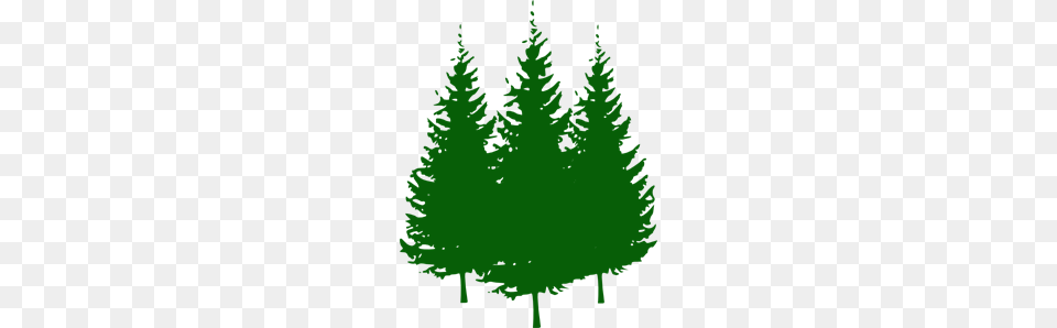 Pine Trees Clip Arts For Web, Fir, Plant, Tree, Conifer Png Image