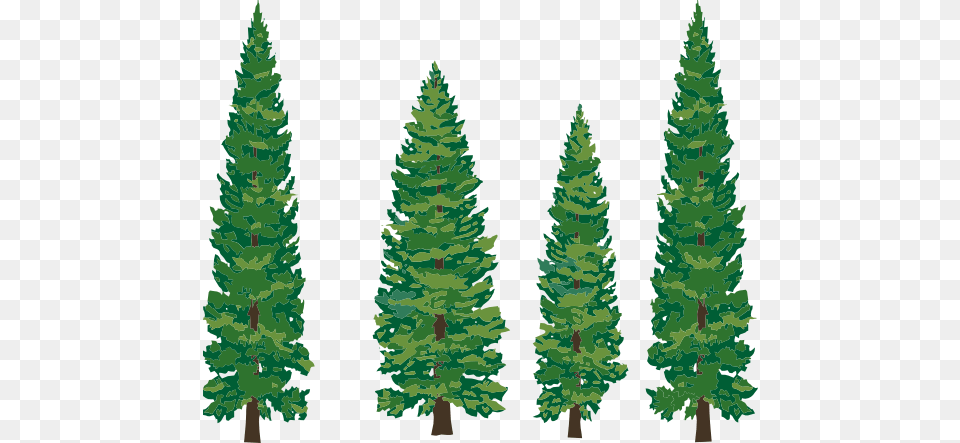 Pine Trees Clipart, Fir, Plant, Tree, Conifer Free Png Download