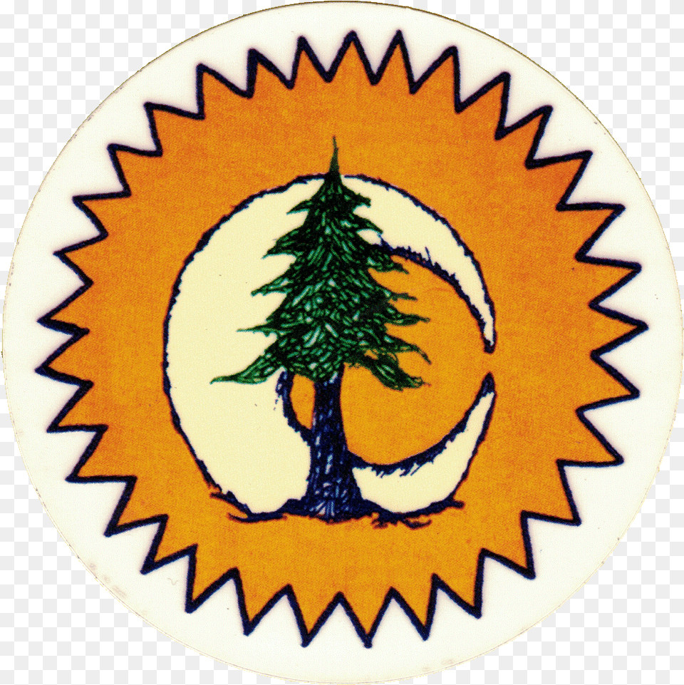 Pine Trees Clipart Sun Moon Pine Tree Clipart Pine Tree Tattoo, Plant, Leaf, Logo, Home Decor Png