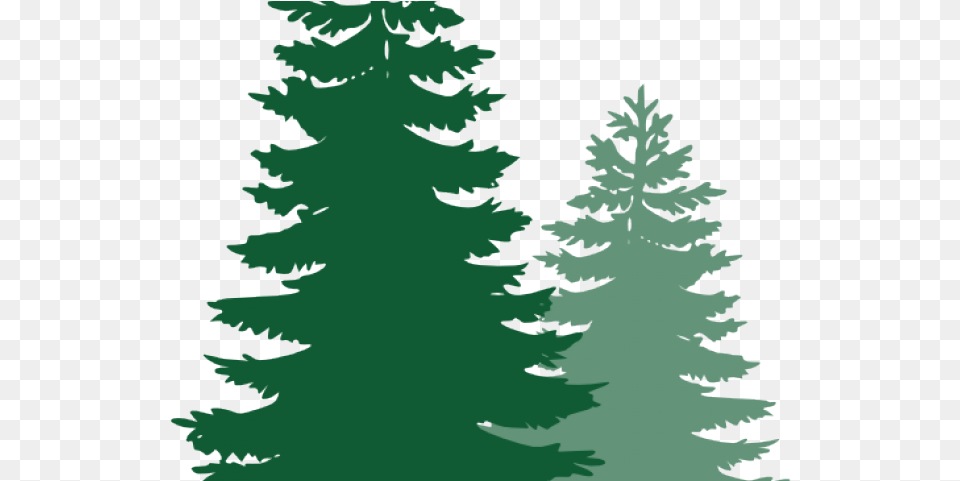 Pine Trees Cliparts Pine Tree Silhouette, Fir, Plant, Conifer, Person Free Png Download