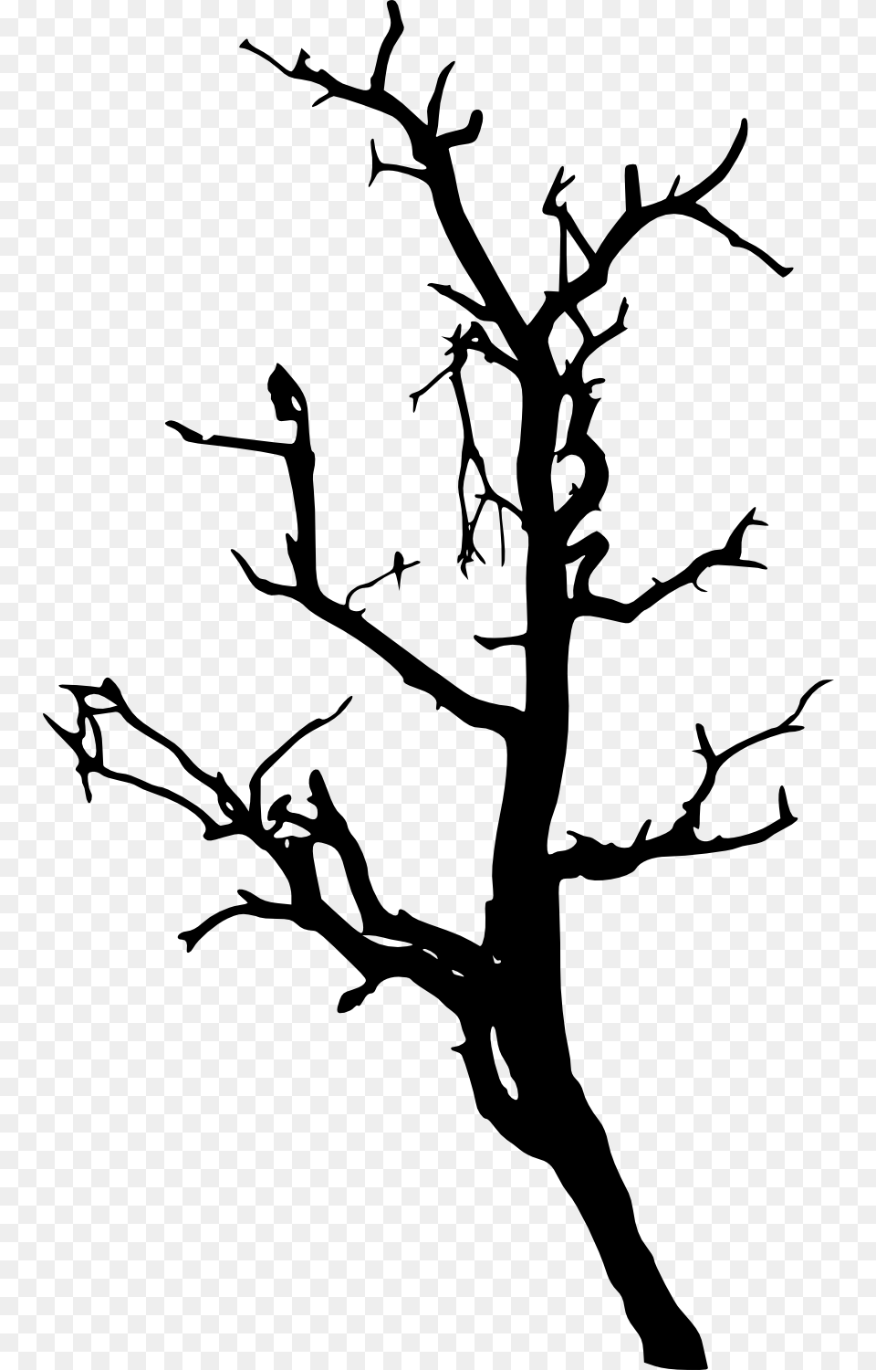 Pine Trees Forest Silhouette Dead Tree Silhouette, Stencil, Art, Person, Animal Free Transparent Png
