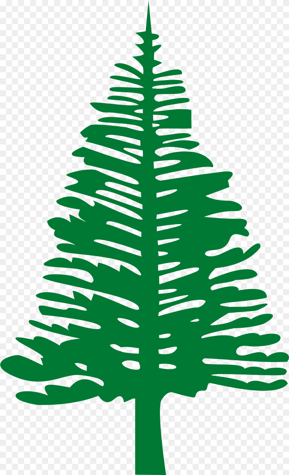 Pine Trees Hd Norfolk Island Flag, Leaf, Plant, Tree, Fir Png Image
