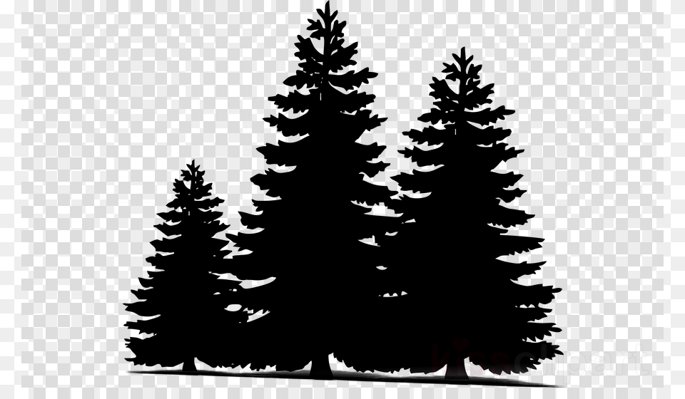 Pine Trees Silhouette, Fir, Plant, Tree, Qr Code Free Png Download