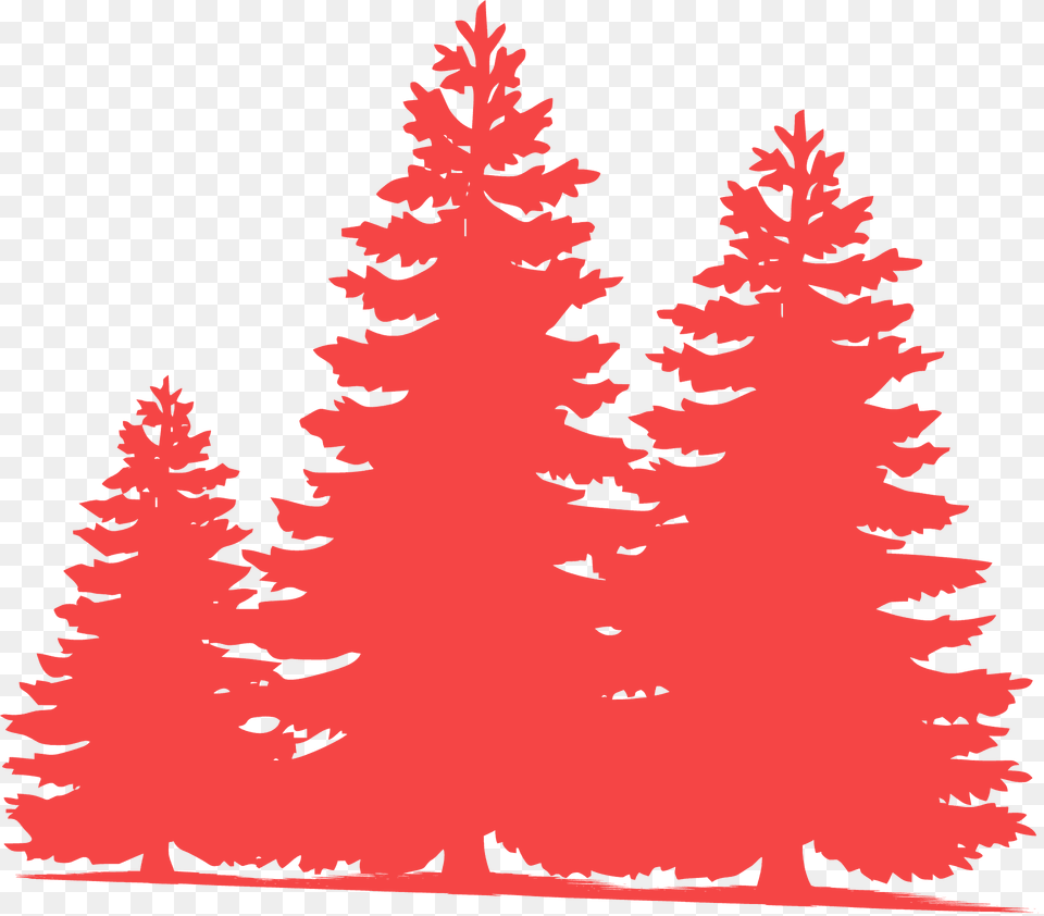 Pine Trees Silhouette, Fir, Plant, Tree, Conifer Png