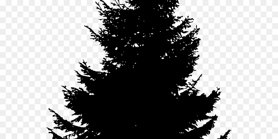 Pine Trees Silhouette Black And White Pine Tree, Fir, Plant, Conifer, Person Free Transparent Png