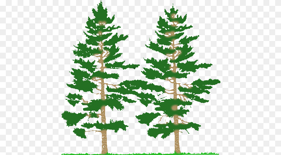 Pine Trees Silhouette Farming Simulator 2017 Mods Trees 2017, Plant, Conifer, Fir, Tree Free Png Download