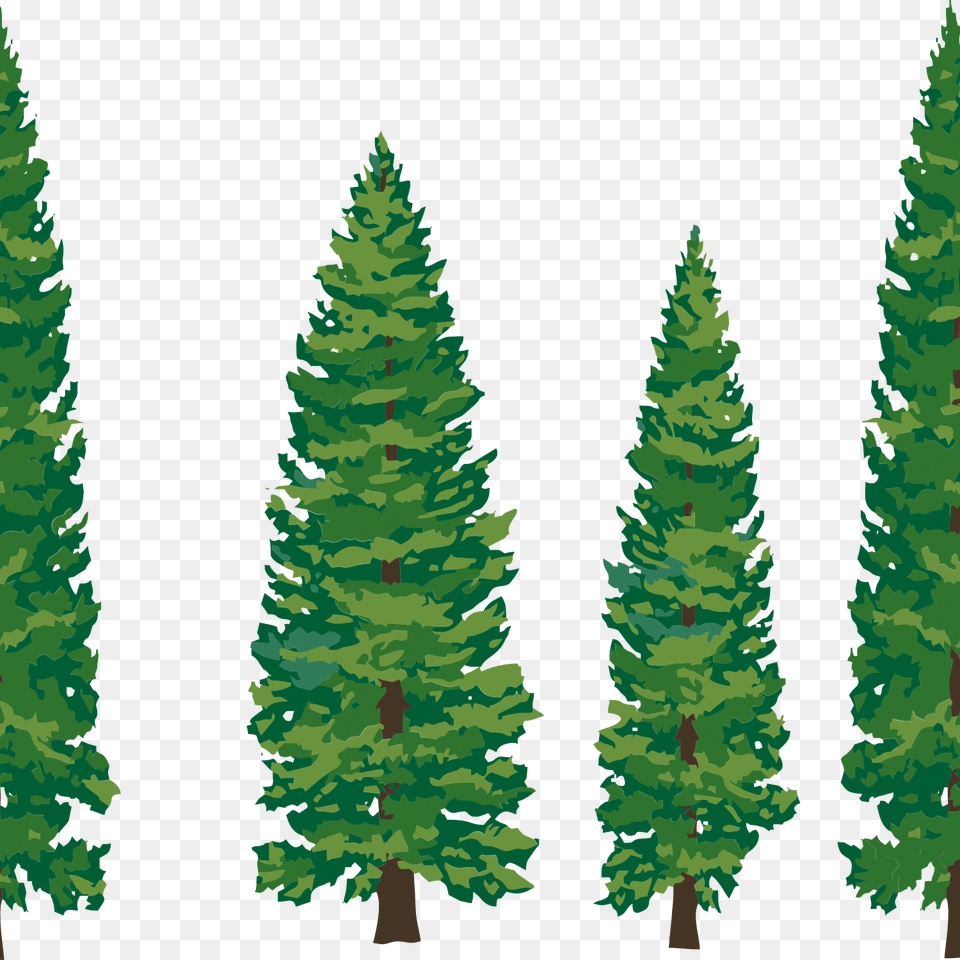 Pine Trees Silhouette Pine Clipart, Fir, Plant, Tree, Conifer Free Png