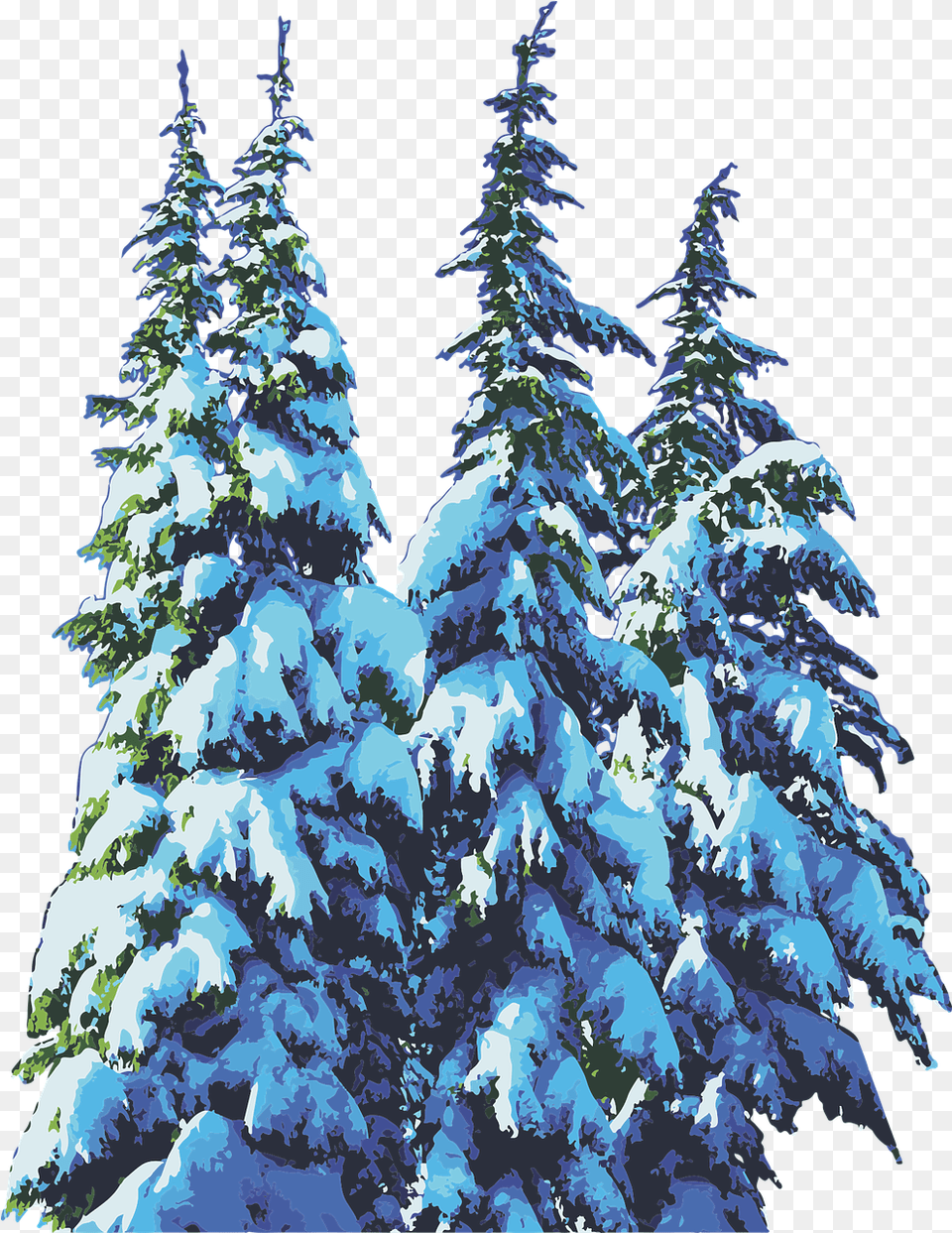 Pine Trees Snow Winter Vector Graphic On Pixabay Pine Trees Winter, Fir, Plant, Tree, Ice Free Png