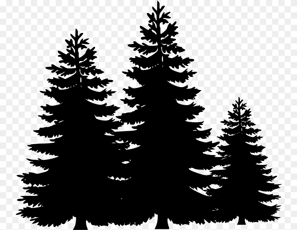 Pine Trees Vector, Gray Free Png Download