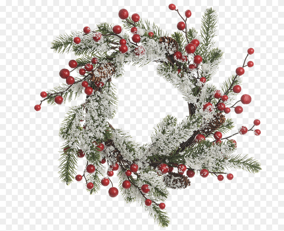 Pine Wreath With Berries And Snow Wreath, Plant Free Transparent Png