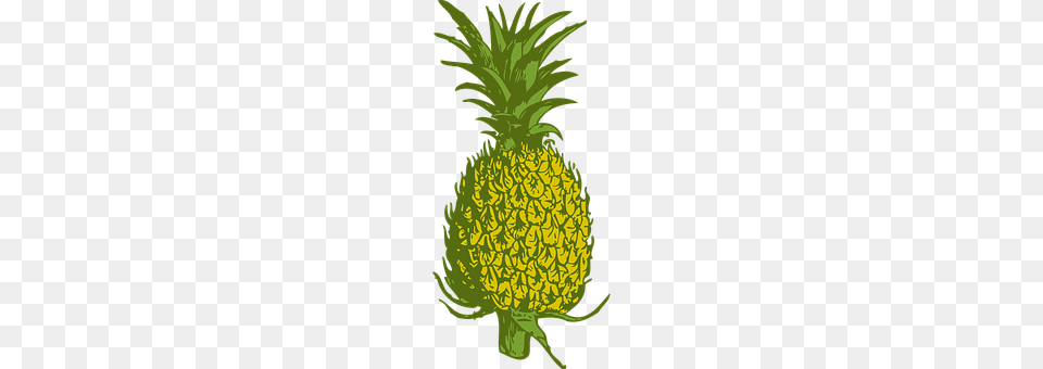 Pineapple Food, Fruit, Plant, Produce Free Png Download