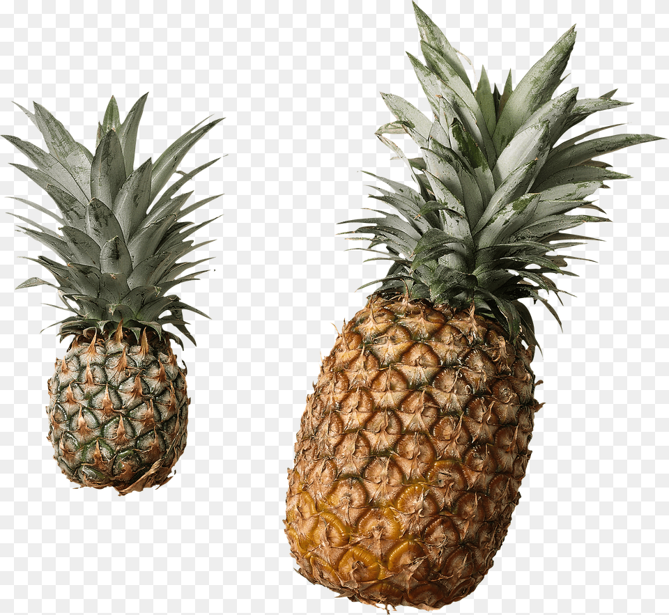 Pineapple, Food, Fruit, Plant, Produce Free Transparent Png