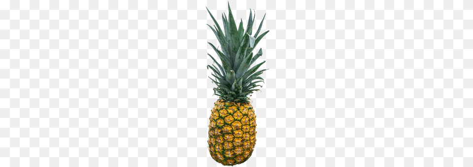 Pineapple Food, Fruit, Plant, Produce Png