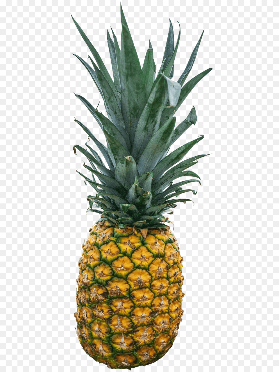 Pineapple Food, Fruit, Plant, Produce Free Png