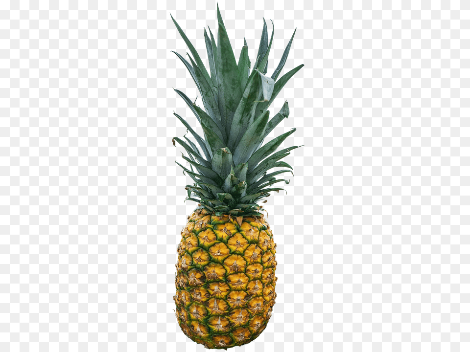 Pineapple Food, Fruit, Plant, Produce Free Png