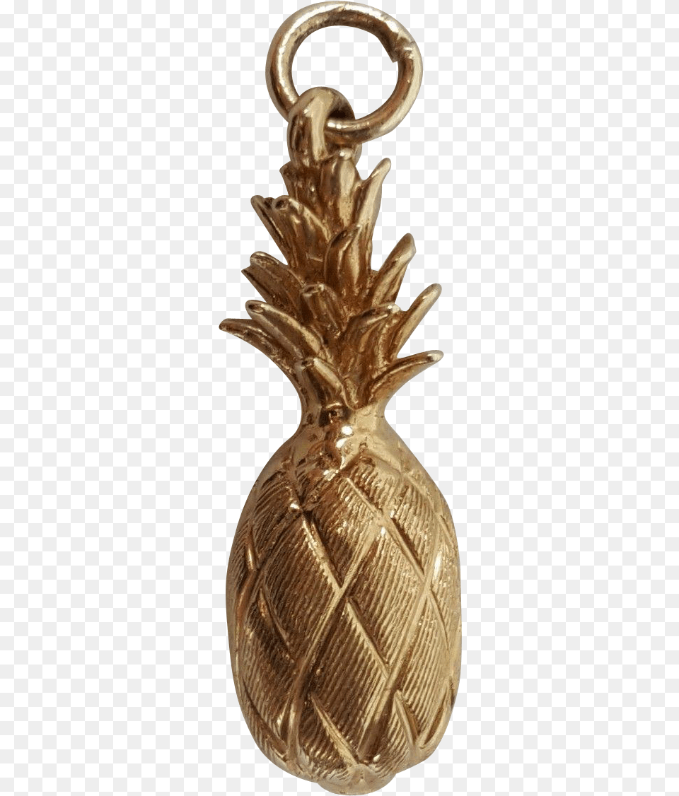 Pineapple, Bronze, Person, Electronics, Hardware Png