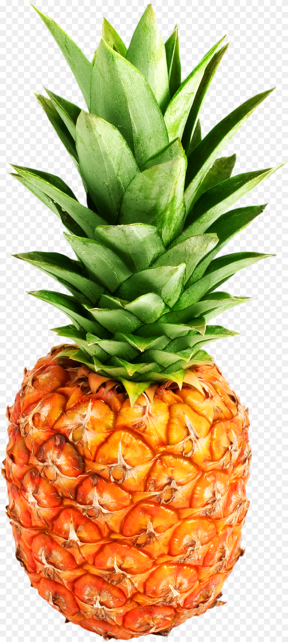 Pineapple, Food, Fruit, Plant, Produce Free Png Download