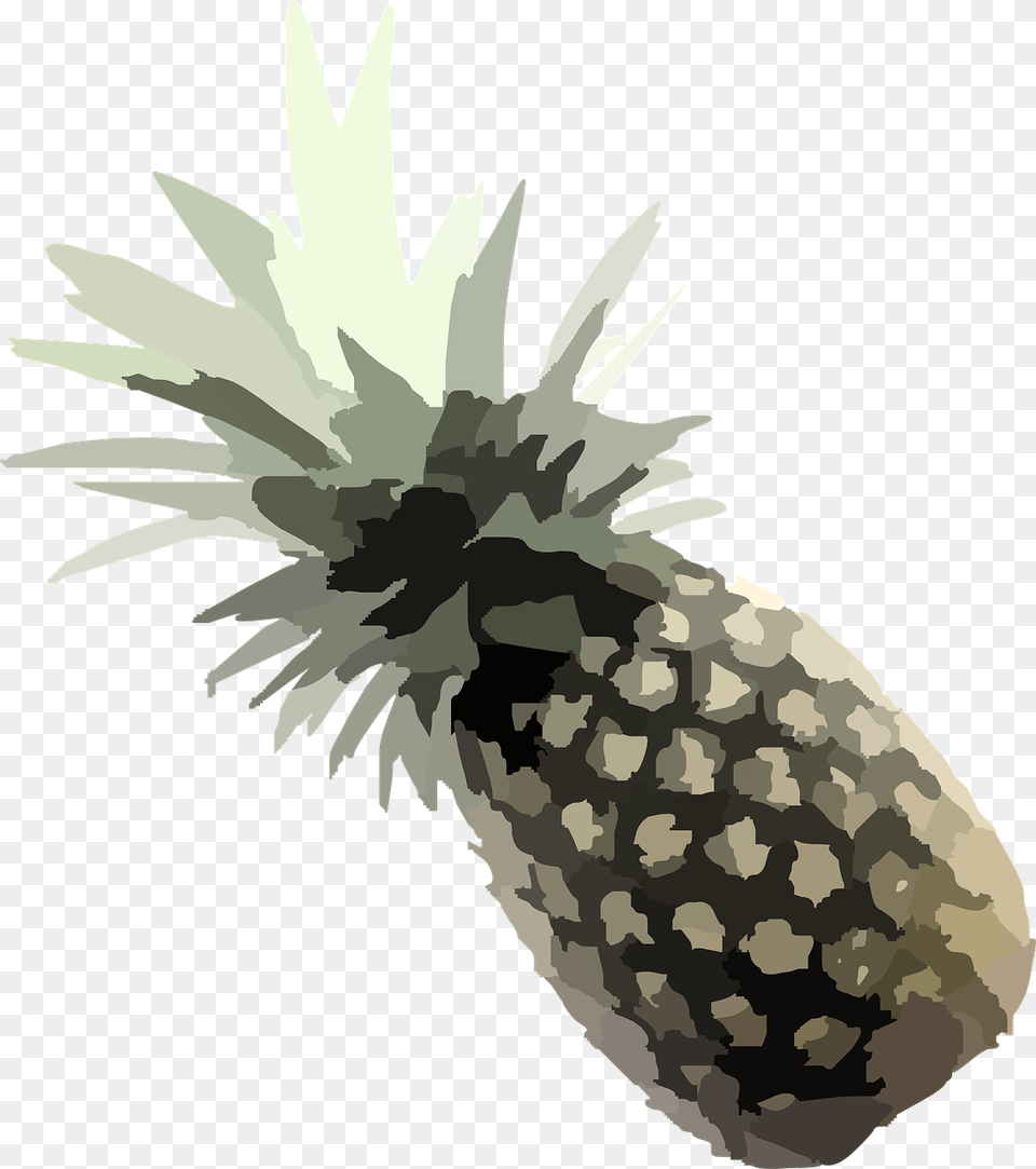 Pineapple, Food, Fruit, Plant, Produce Free Png