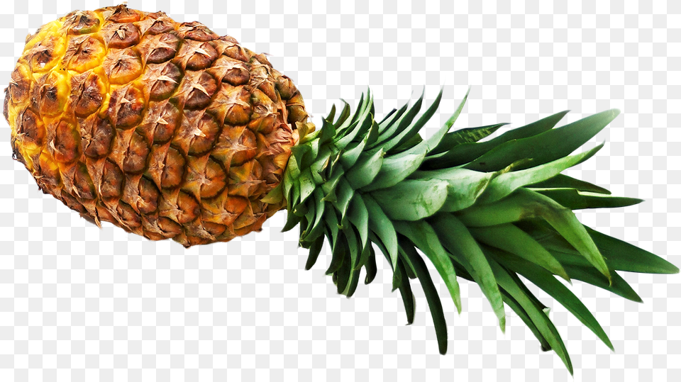 Pineapple, Food, Fruit, Plant, Produce Free Png Download