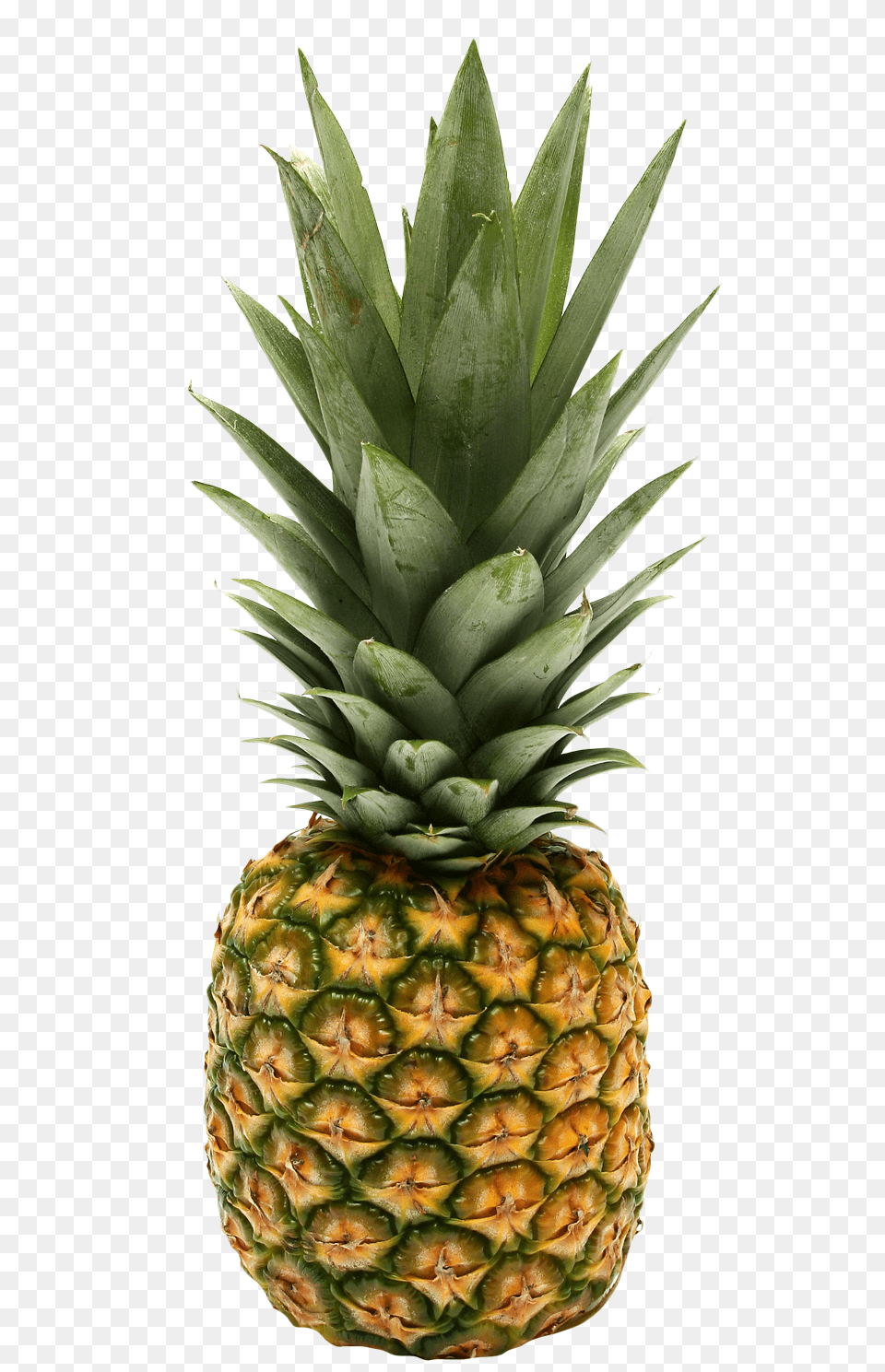 Pineapple, Food, Fruit, Plant, Produce Png Image