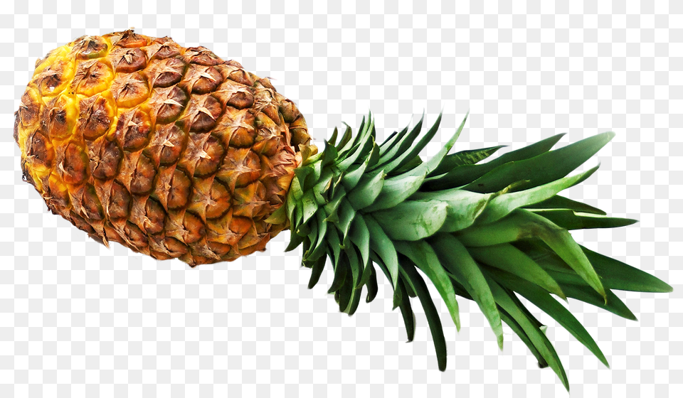 Pineapple, Food, Fruit, Plant, Produce Free Transparent Png