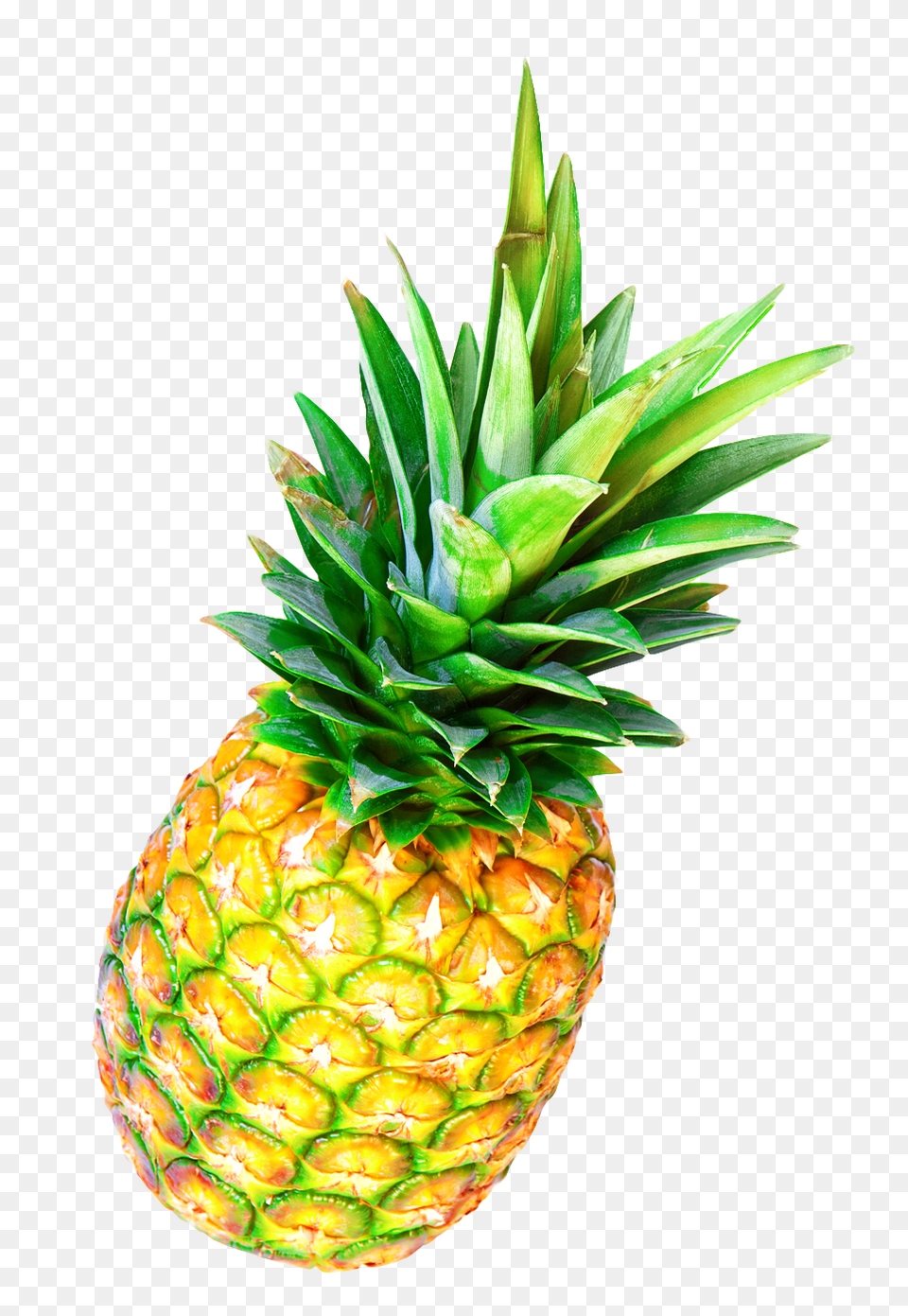 Pineapple, Food, Fruit, Plant, Produce Png Image