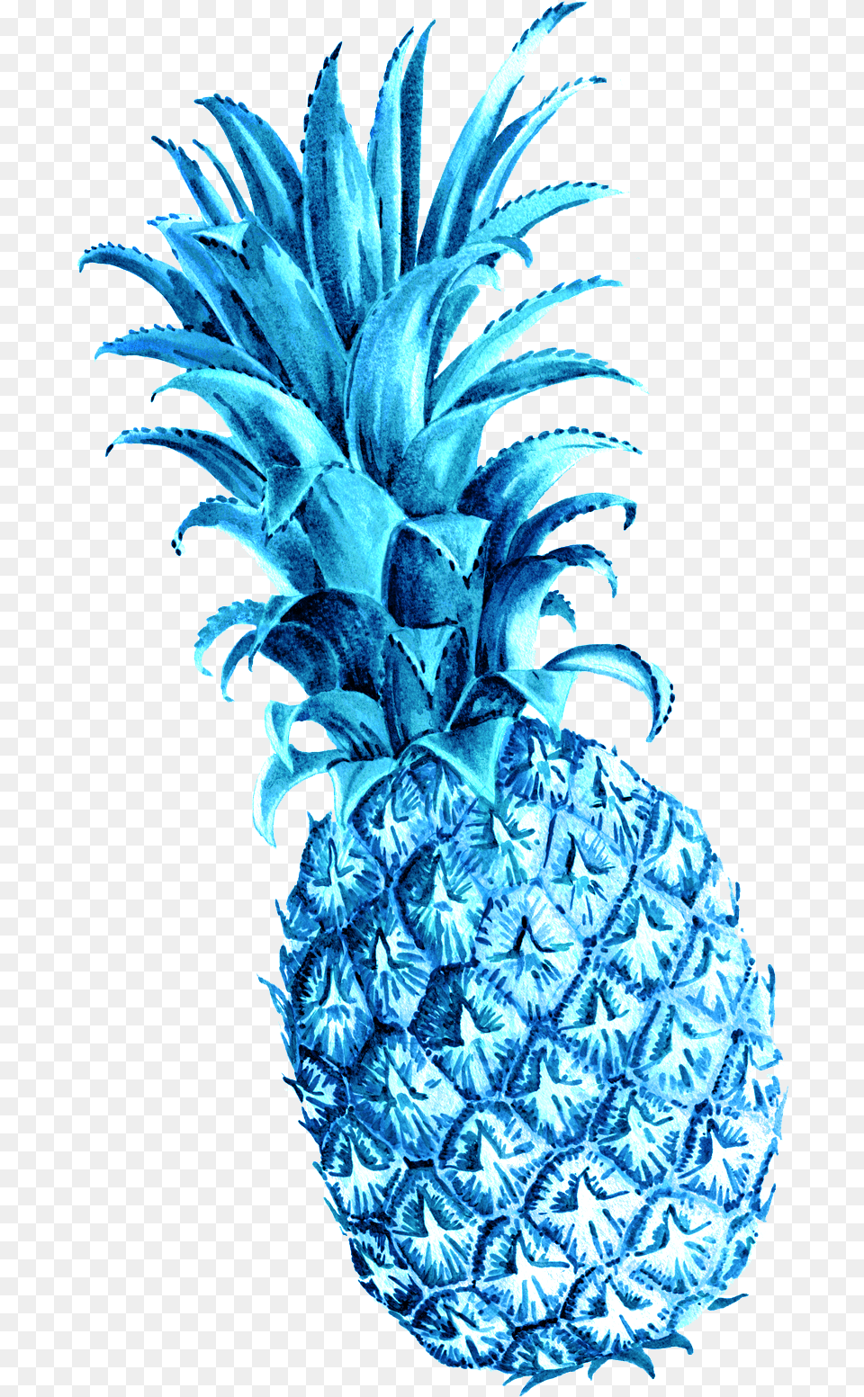 Pineapple, Food, Fruit, Plant, Produce Free Transparent Png