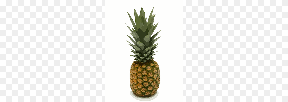 Pineapple Food, Fruit, Plant, Produce Free Transparent Png